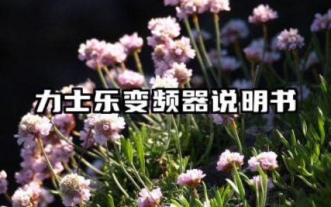 力士乐变频器说明书及力士乐变频器参数设置汇总