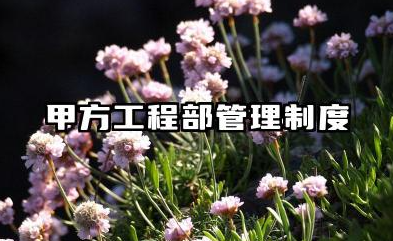 甲方工程部管理制度内容 甲方项目工程部管理制度