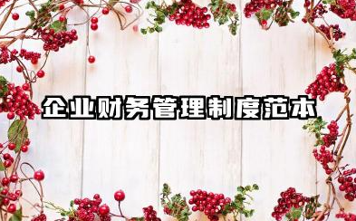 企业财务管理制度范本 公司财务管理规章制度