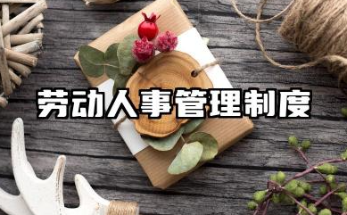 劳动人事管理制度模板 劳动力管理规章制度