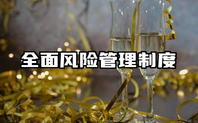 全面风险管理制度内容 全面风险管理制度整理版