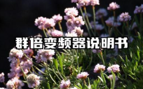 群倍变频器说明书及群倍变频器参数设置详解