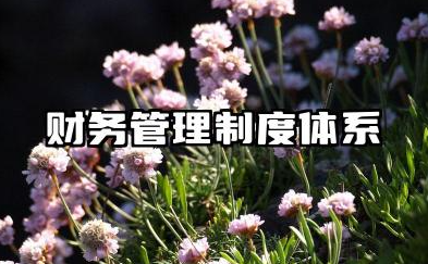 财务管理制度体系范文 财务管理制度及体系