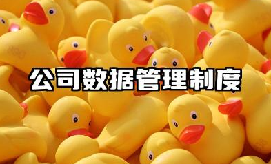 公司数据管理制度内容 公司数据质量管理制度范本