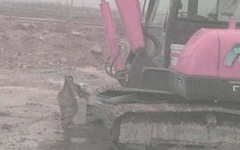 二手挖掘机买卖合同模板 二手挖掘机买卖合同协议书范本通用