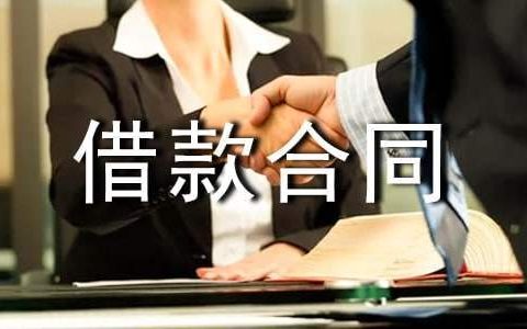 借款合同最新样本 借款合同最新模板