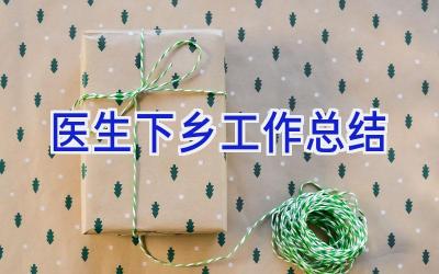 医生下乡工作总结