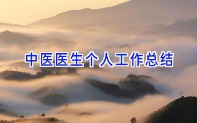 中医医生个人工作总结