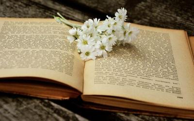 儿牙医生工作总结