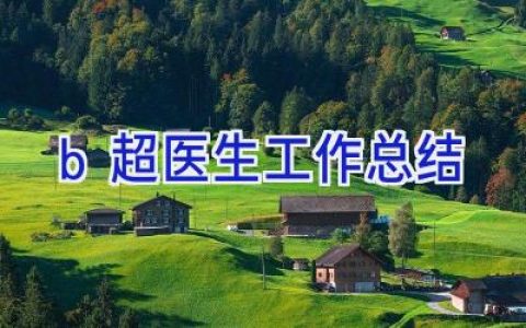 b超医生工作总结