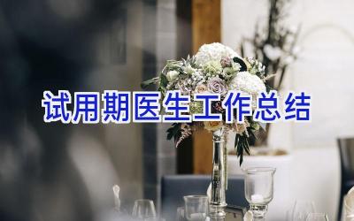 试用期医生工作总结