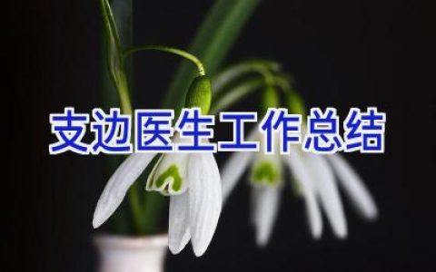 支边医生工作总结