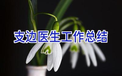 支边医生工作总结