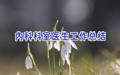 内科科室医生工作总结