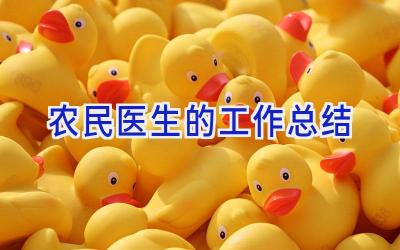 农民医生的工作总结