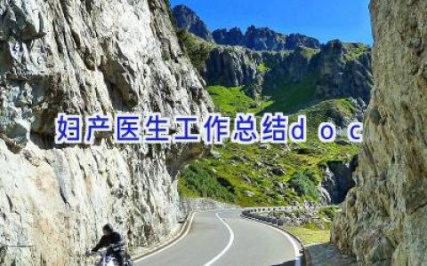 妇产医生工作总结doc