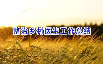 整治乡村医生工作总结