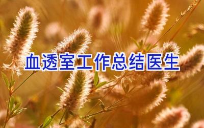 血透室工作总结医生