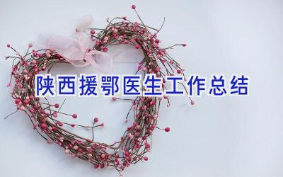 陕西援鄂医生工作总结