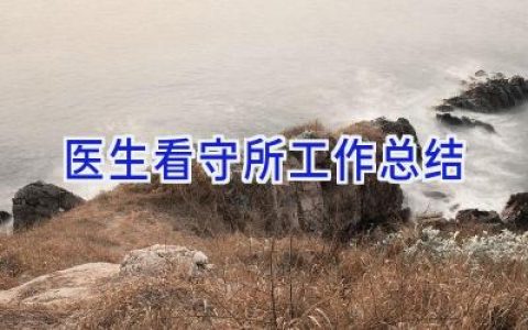 医生看守所工作总结