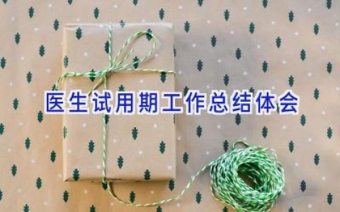 医生试用期工作总结体会