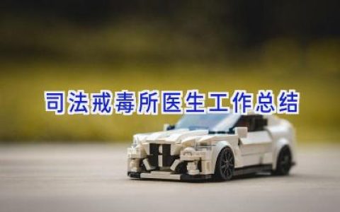 司法戒毒所医生工作总结