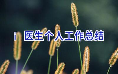 i医生个人工作总结