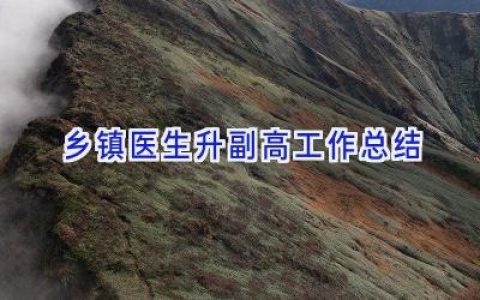乡镇医生升副高工作总结