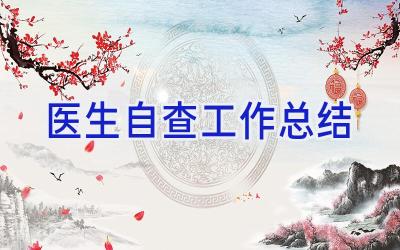 医生自查工作总结
