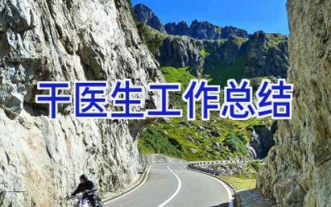 干医生工作总结