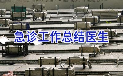 急诊工作总结医生