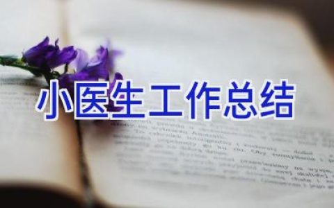 小医生工作总结
