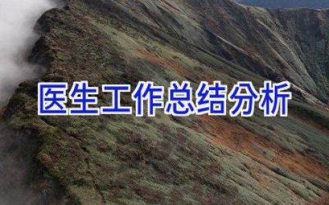 医生工作总结分析