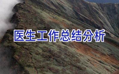 医生工作总结分析