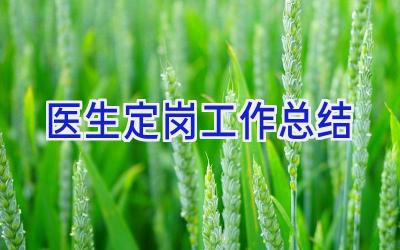 医生定岗工作总结
