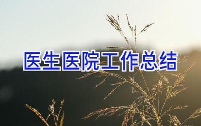 医生医院工作总结
