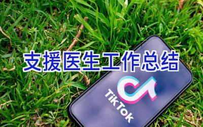 支援医生工作总结
