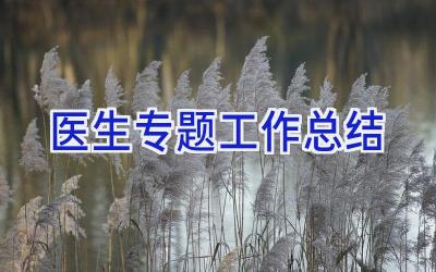 医生专题工作总结