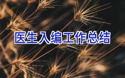 医生入编工作总结