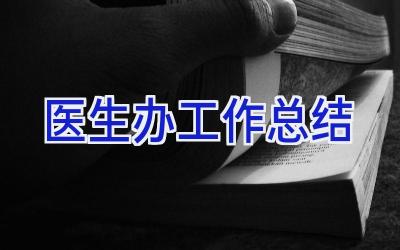 医生办工作总结